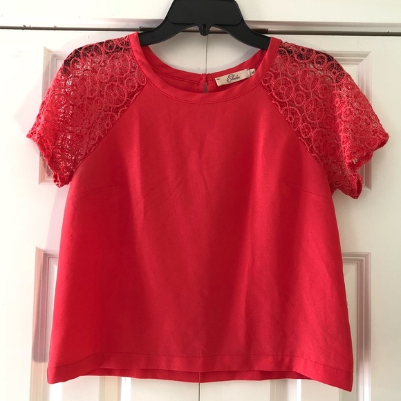 Elodie Tops - ⭐️ Elodie Lace Sleeve Top